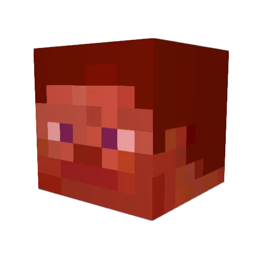 judeSB Minecraft avatar head, 3D render