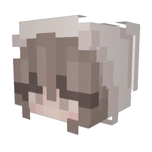 judgymomblog Minecraft avatar head, 3D render