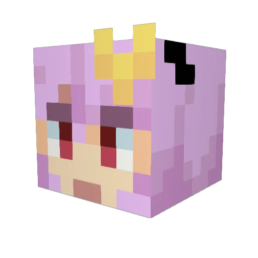 judokidd Minecraft avatar head, 3D render