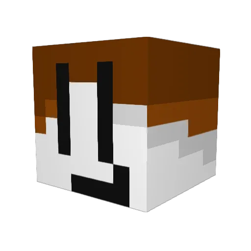 juf_cito Minecraft avatar head, 3D render