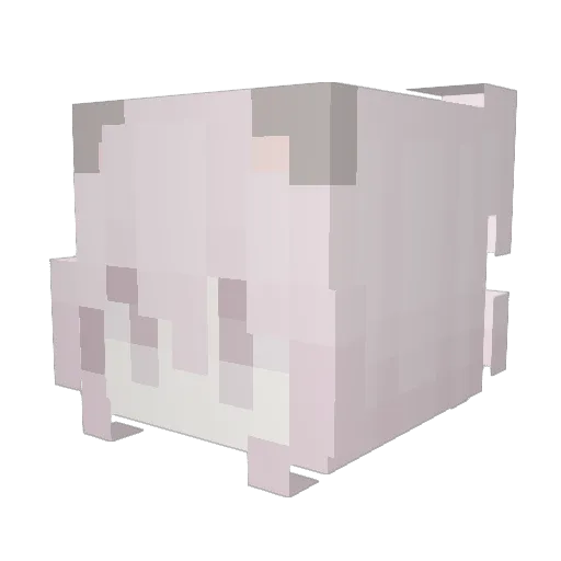 juhstinbeber Minecraft avatar head, 3D render