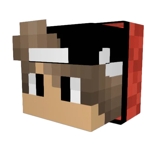juice_wrlld Minecraft avatar head, 3D render