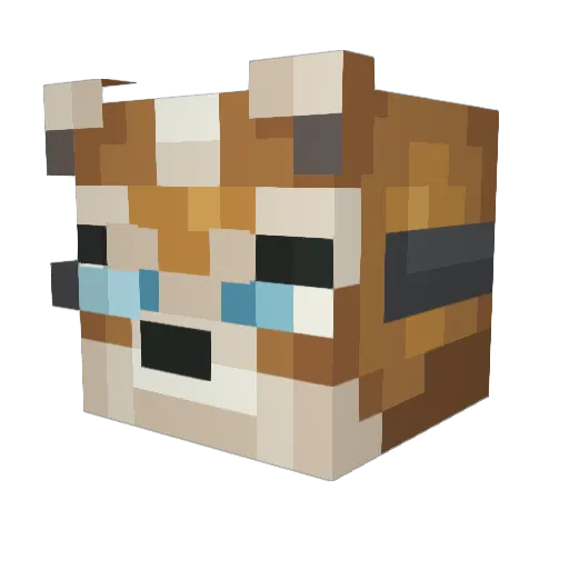 juiceismid Minecraft avatar head, 3D render