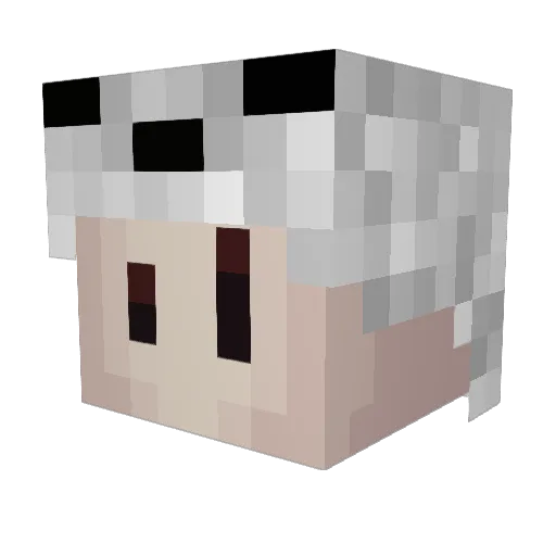 juicesipper479 Minecraft avatar head, 3D render
