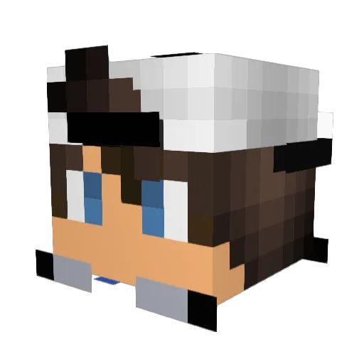 juicyballs Minecraft avatar head, 3D render