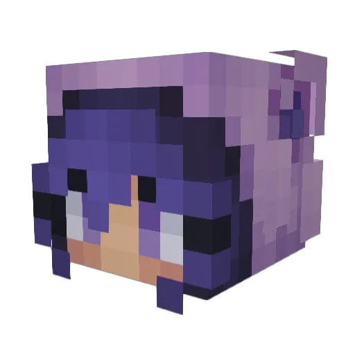 juicycatt Minecraft avatar head, 3D render