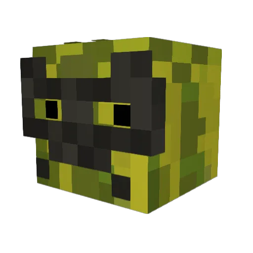 juicymelon22 Minecraft avatar head, 3D render