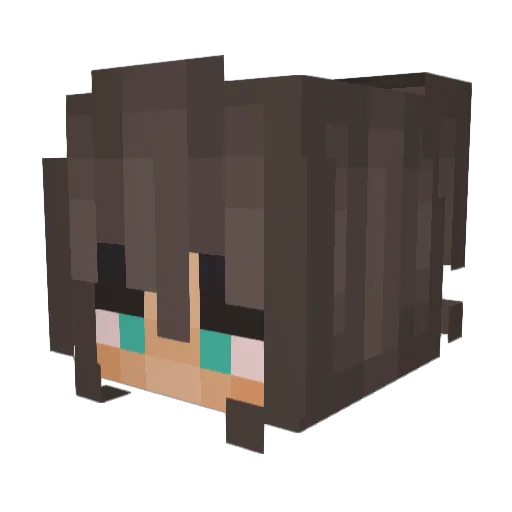 jujanjuan Minecraft avatar head, 3D render