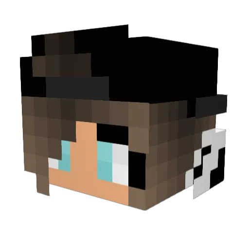 jujuBUBBLEYbee Minecraft avatar head, 3D render