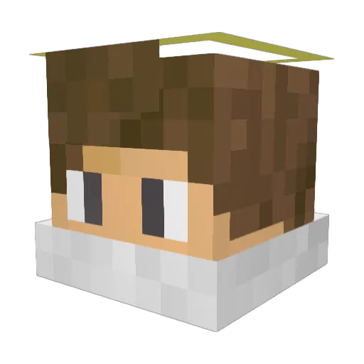 jujube48 Minecraft avatar head, 3D render