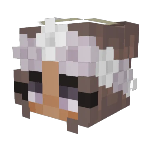 jujubean420 Minecraft avatar head, 3D render