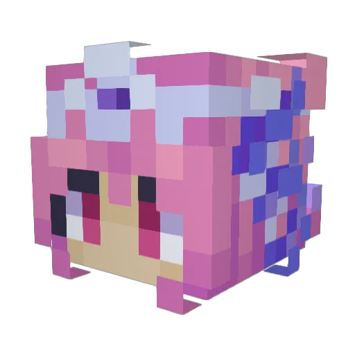 jujubee600 Minecraft avatar head, 3D render
