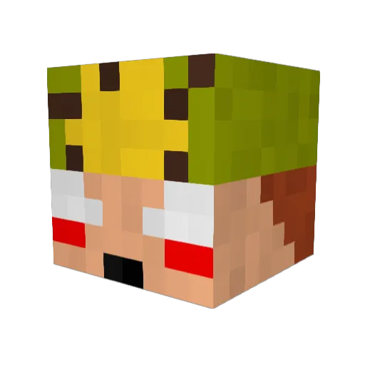 jujugameur Minecraft avatar head, 3D render