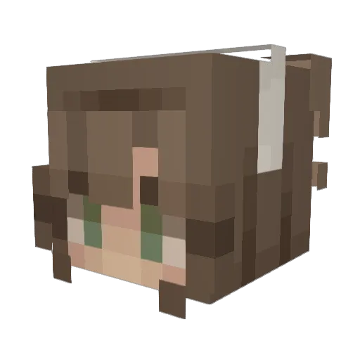 jujumumu69 Minecraft avatar head, 3D render