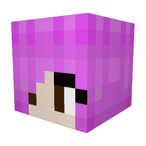 jujuris Minecraft avatar head, 3D render