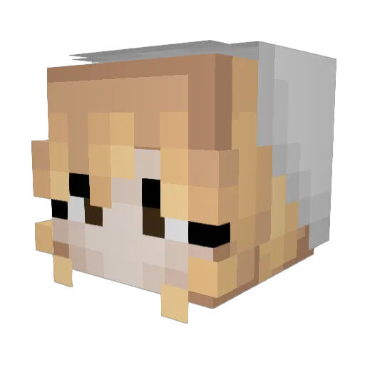 jujutootight Minecraft avatar head, 3D render