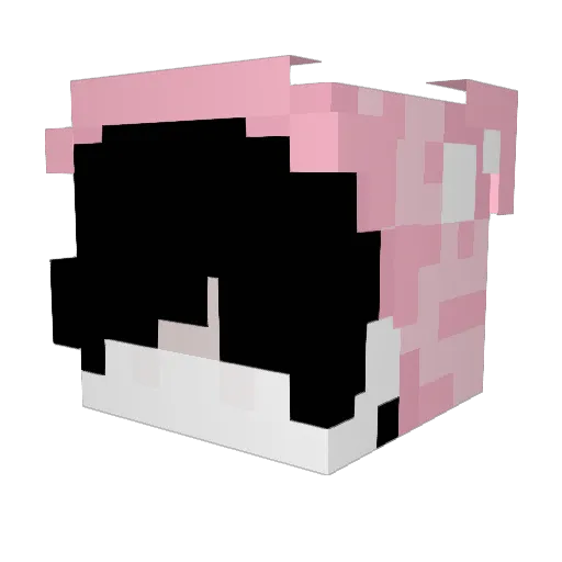 jukiao777 Minecraft avatar head, 3D render