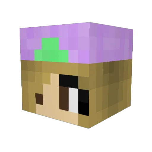 jukill88 Minecraft avatar head, 3D render