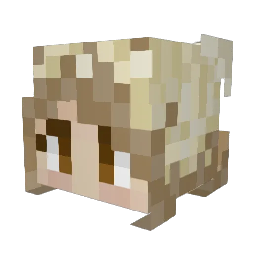 julAk74 Minecraft avatar head, 3D render