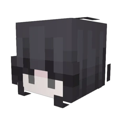 juleees_xx Minecraft avatar head, 3D render