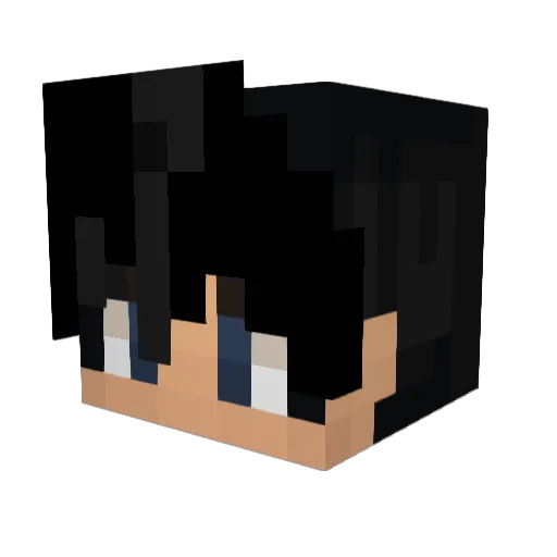 julek2504 Minecraft avatar head, 3D render