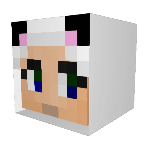 jules1014 Minecraft avatar head, 3D render