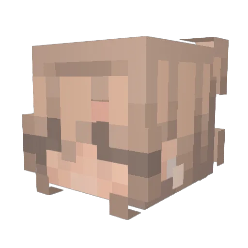 julesluuvsya Minecraft avatar head, 3D render