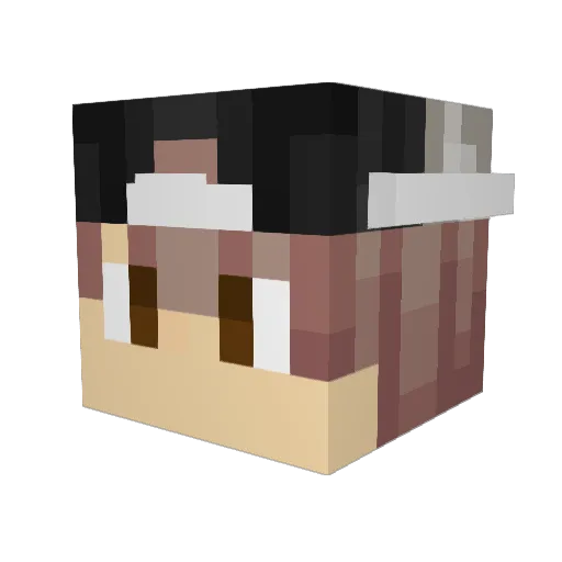 juli00 Minecraft avatar head, 3D render