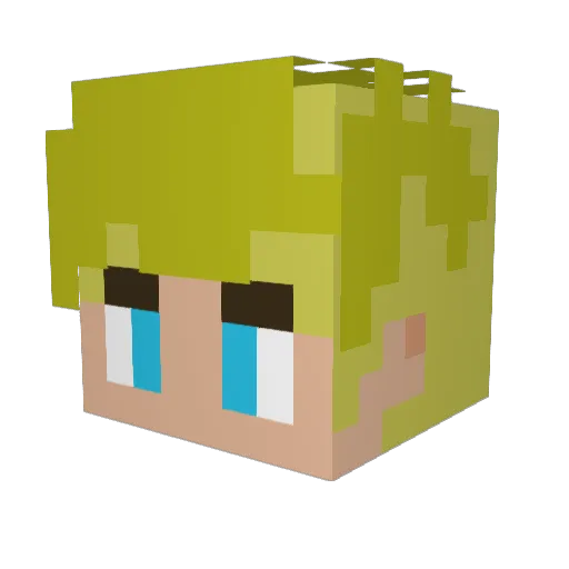 julia6tiemi Minecraft avatar head, 3D render