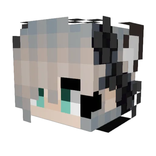 julia741741 Minecraft avatar head, 3D render