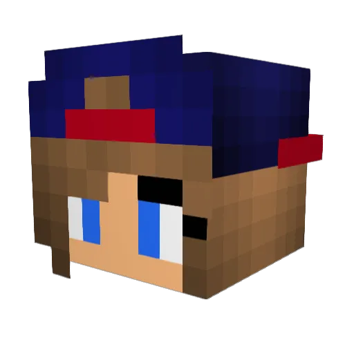 julia_100 Minecraft avatar head, 3D render