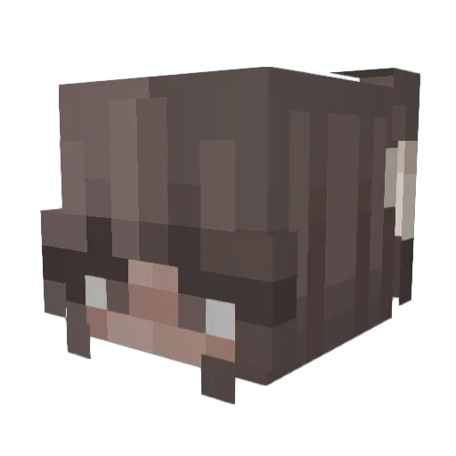 juliaannee Minecraft avatar head, 3D render