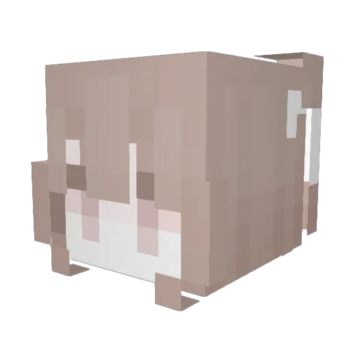 juliafortnite Minecraft avatar head, 3D render