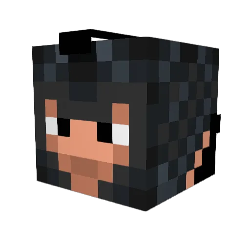 julian20023 Minecraft avatar head, 3D render