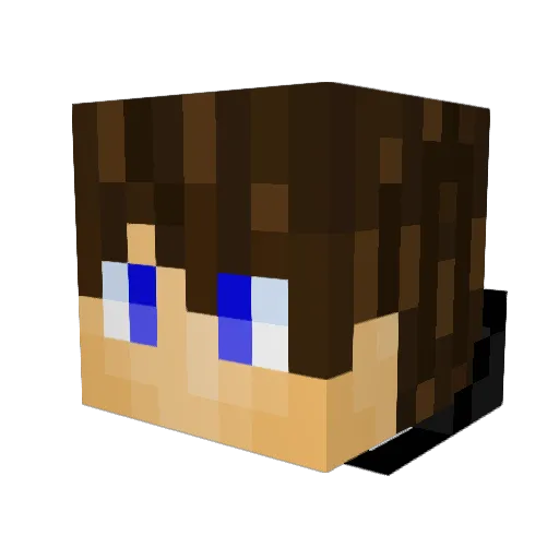 julian_TB2 Minecraft avatar head, 3D render