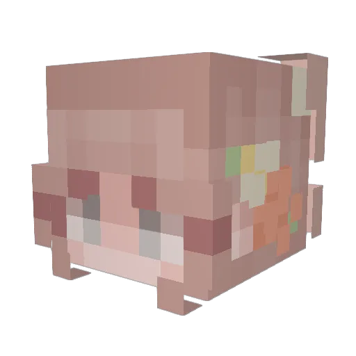 juliaugh Minecraft avatar head, 3D render