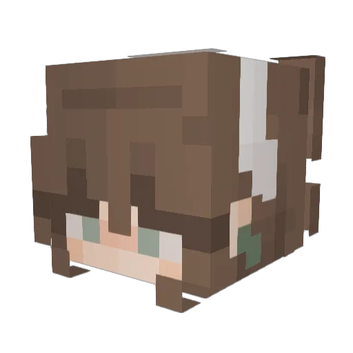 juliaw Minecraft avatar head, 3D render