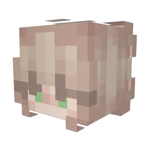 juliax1 Minecraft avatar head, 3D render