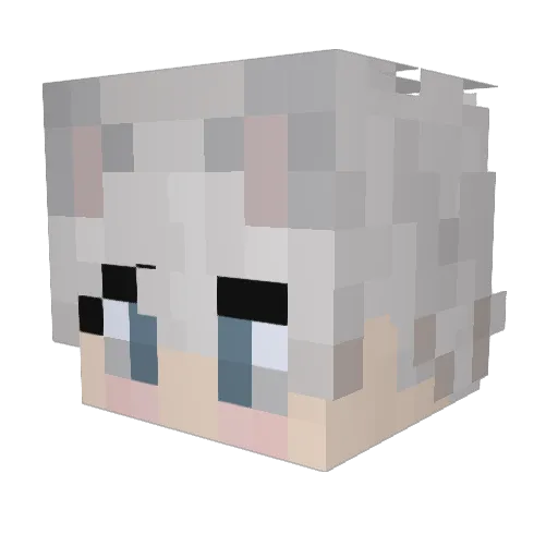 julibeen Minecraft avatar head, 3D render