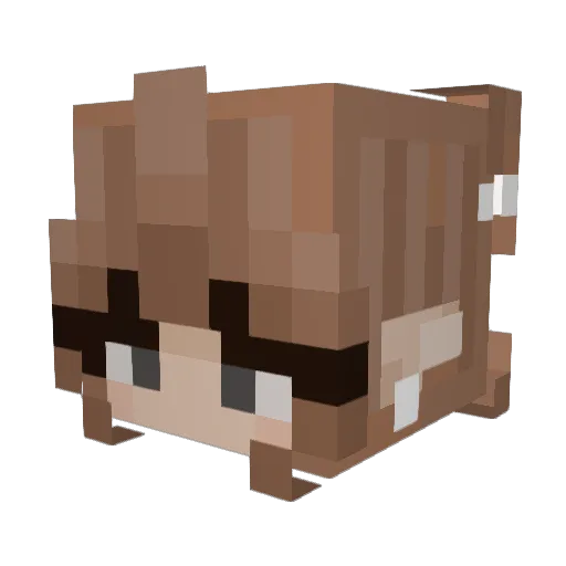 julie1608 Minecraft avatar head, 3D render