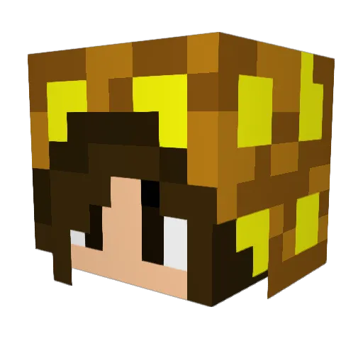 julie163_ Minecraft avatar head, 3D render