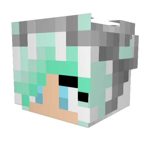 juliecat07 Minecraft avatar head, 3D render