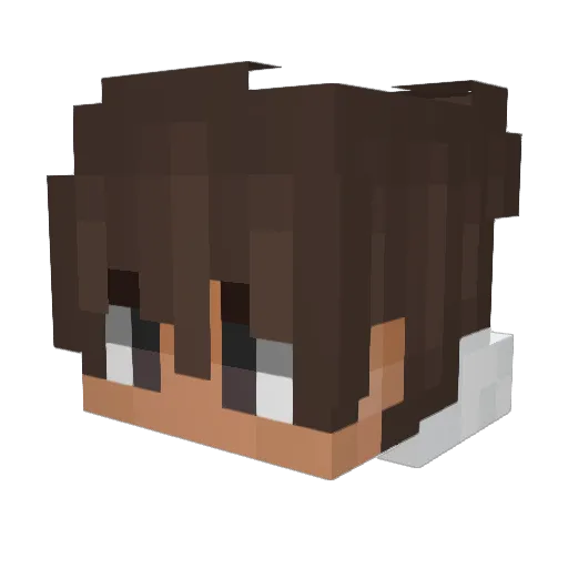 julien3162 Minecraft avatar head, 3D render