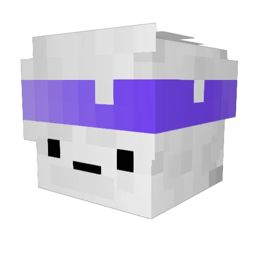 julien3201 Minecraft avatar head, 3D render