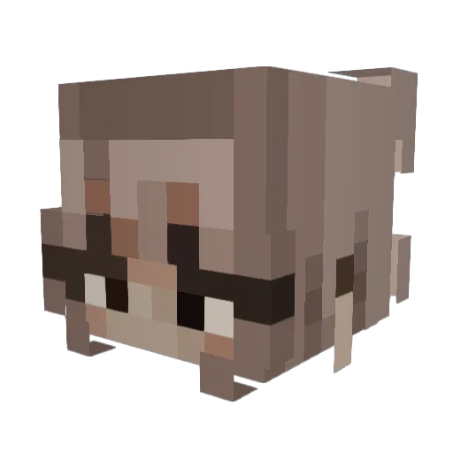 juliiaaaaaaa Minecraft avatar head, 3D render