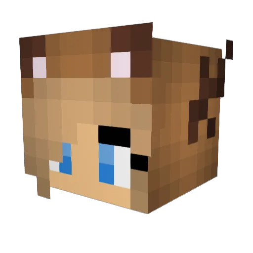 juliijulii Minecraft avatar head, 3D render