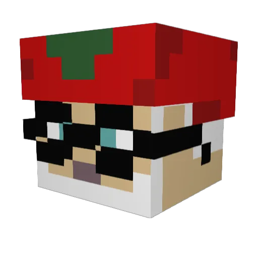 juljan123 Minecraft avatar head, 3D render