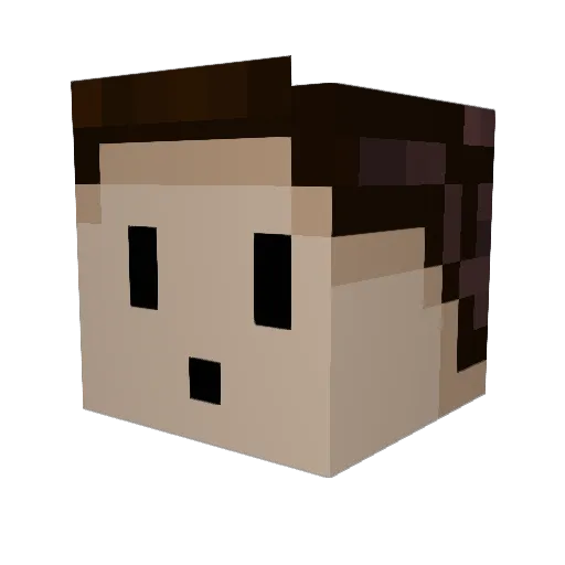 julkakostera Minecraft avatar head, 3D render