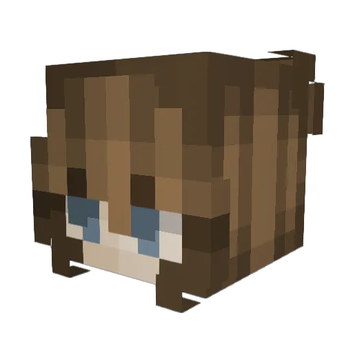 julletati Minecraft avatar head, 3D render