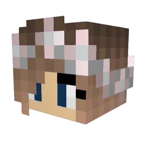 julss10 Minecraft avatar head, 3D render